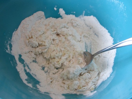 No-Knead Thin Crust Pizza Dough myfavouritepastime.com_3830