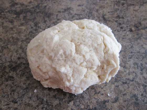 No-Knead Thin Crust Pizza Dough myfavouritepastime.com_3832