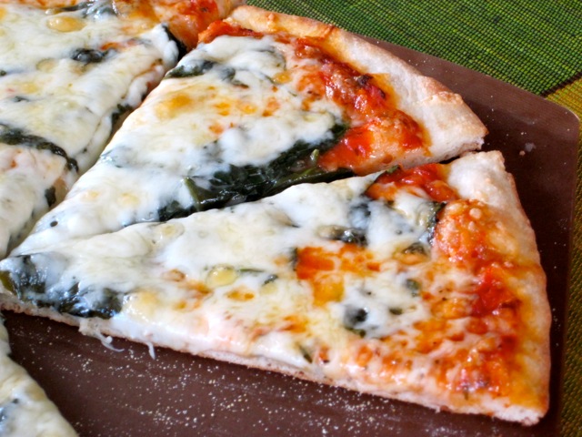 No-Knead Thin Crust Pizza Dough myfavouritepastime.com_4019