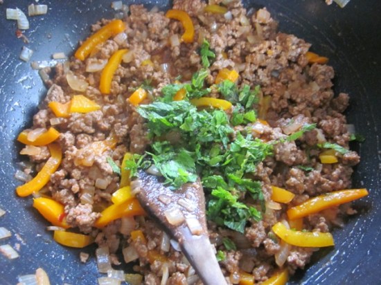 Beef Pizza myfavouritepastime.com_4394