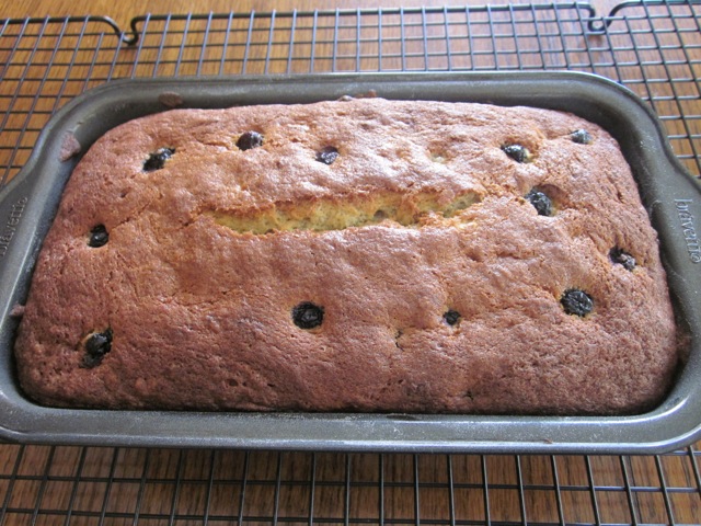 Blueberry Banana Bread myfavouritepastime.com_5262