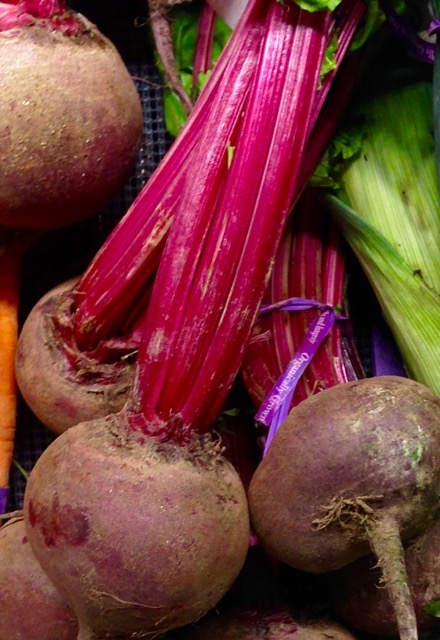 beetroot-myfavouritepastime-com_1545