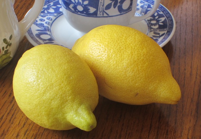  ‘Lisbon’ Lemon myfavouritepastime.com_3671