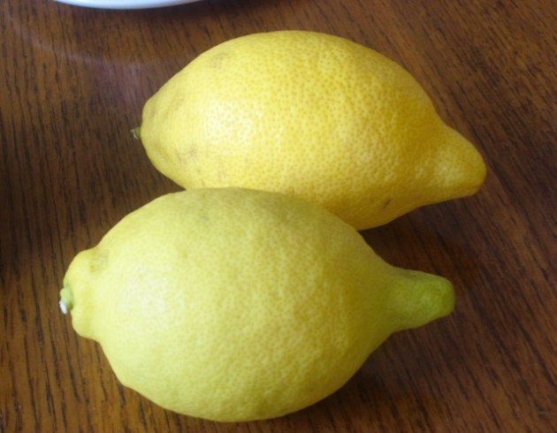  ‘Lisbon’ Lemon myfavouritepastime.com_6135