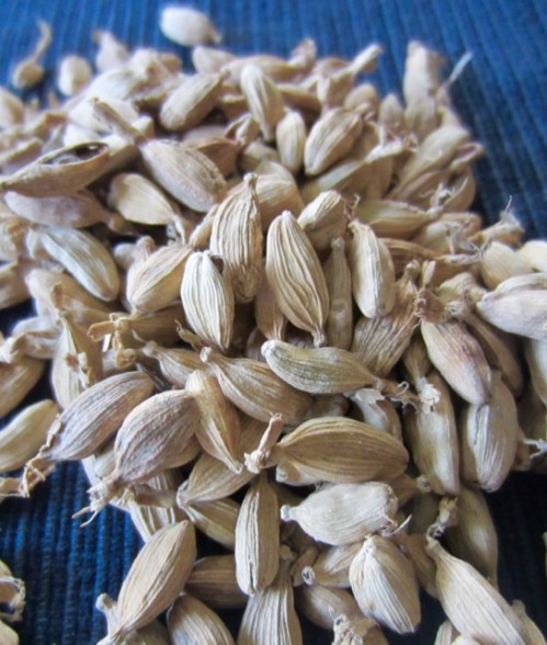 Cardamomum myfavouritepastime.com