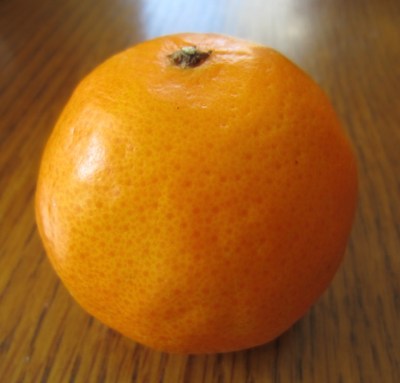 Clementine myfavouritepastime.com_4161