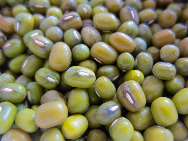 Green Gram (Mung Bean) myfavouritepastime.com