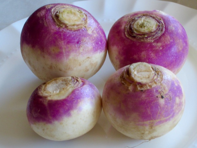 Turnip myfavouritepastime.com