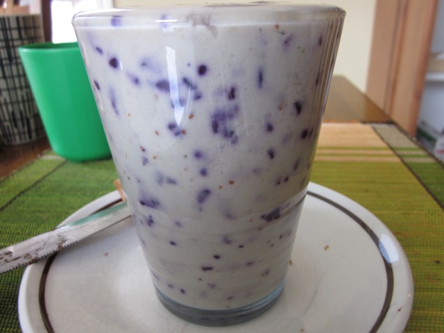 Blueberry Pineapple Cantaloupe Smoothie myfavouritepastime.com_6078