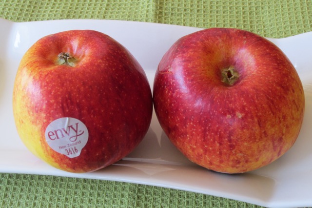 Envy Apple myfavouritepastime.com_3765
