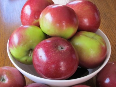 McIntosh Apple myfavouritepastime.com McIntosh Apples myfavouritepastime.com_6041