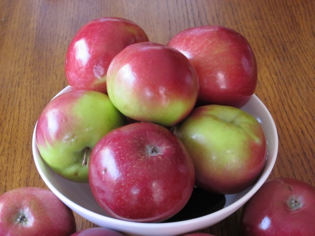 McIntosh Apples myfavouritepastime.com McIntosh Apples myfavouritepastime.com_6042