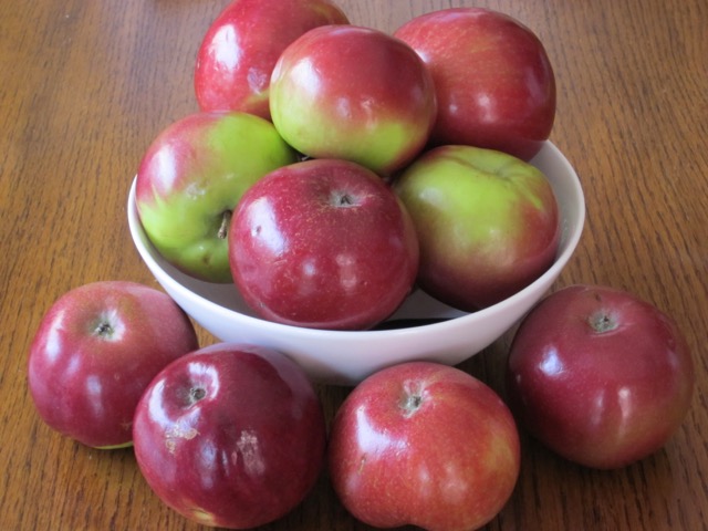 McIntosh Apples myfavouritepastime.com McIntosh Apples myfavouritepastime.com_6044