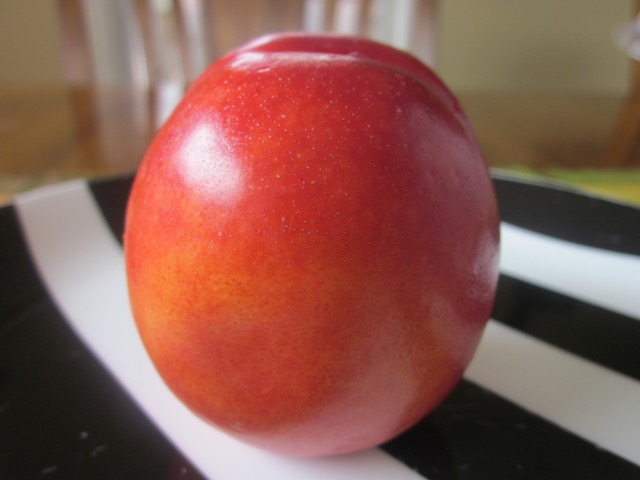 Nectarine myfavouritepastime.com Nectarine myfavouritepastime.com