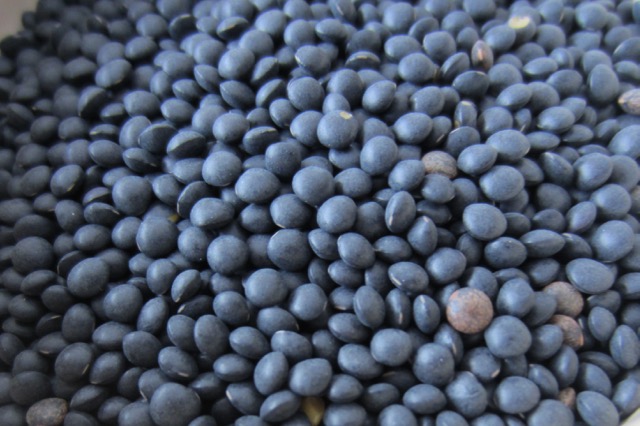 Black Beluga Lentils myfavouritepastime.com