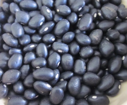 Black Turtle Beans myfavouritepastime.com