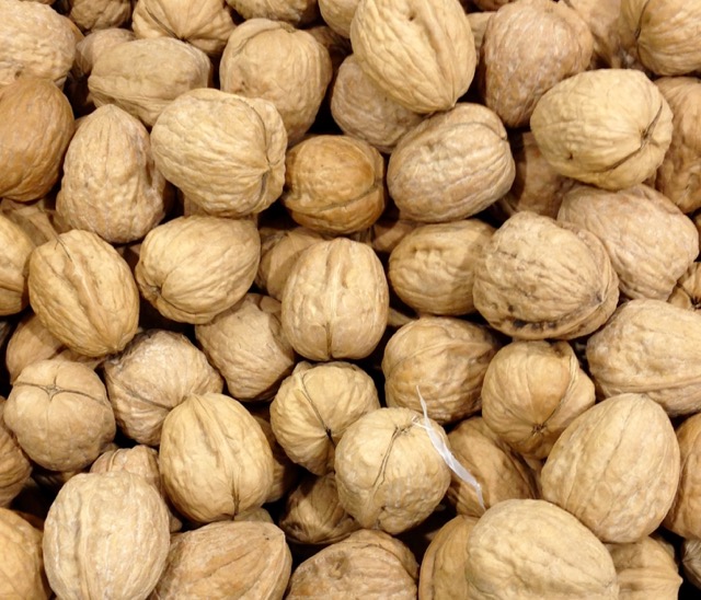 Walnuts in a shell myfavouritepastime.com