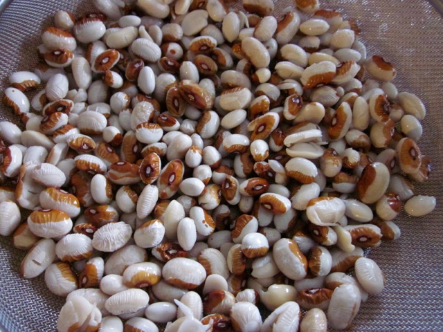 Soaked Yellow Eye Beans myfavouritepastime.com