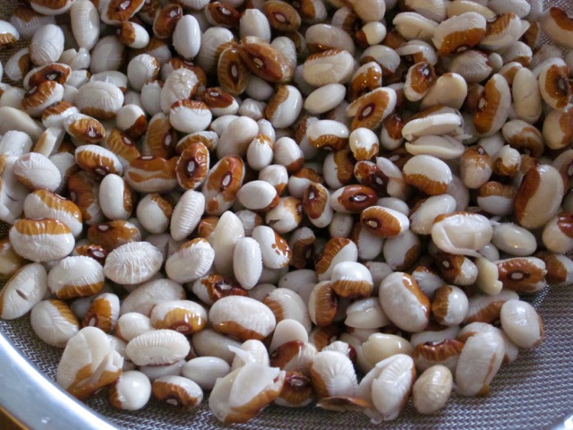 Soaked Yellow Eye Beans myfavouritepastime.com