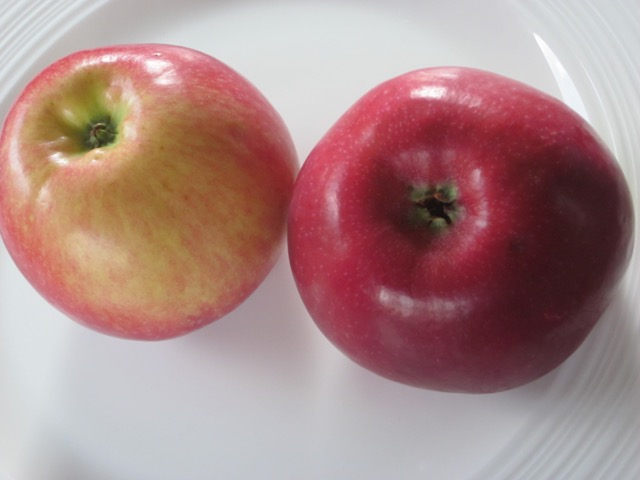 Paula Red Apple myfavouritepastime.com_6728