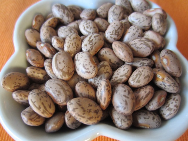 Pinto Beans