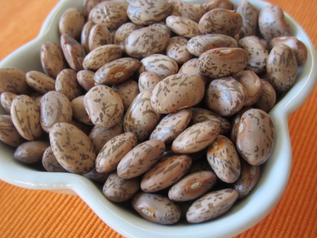 Pinto Beans myfavouritepastime.com_3917