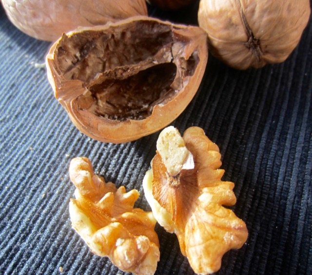Walnut shell (stone) cracked open to release the seed which is technically the nuts you eat. myfavouritepastime.com