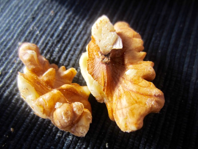 Fresh walnuts, from the shell.