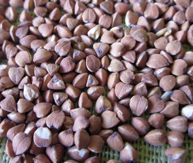 Whole Toasted Buckwheat (Kasha) myfavouritepastime.com
