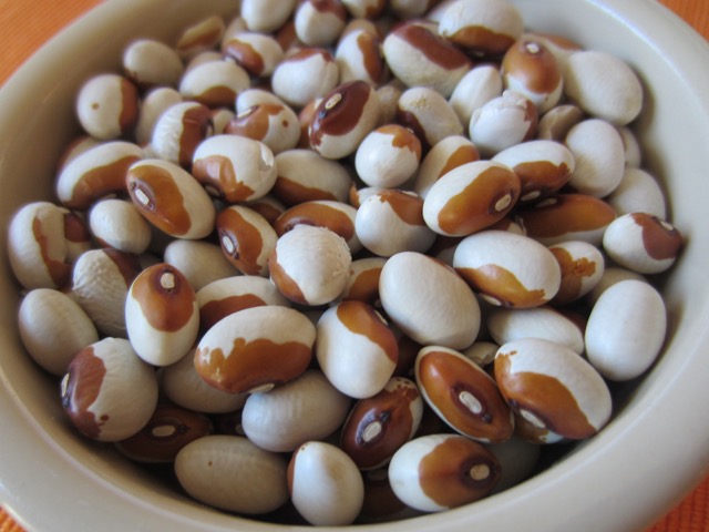 Yellow Eye Beans myfavouritepastime.com Yellow Eye Beans myfavouritepastime.com