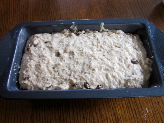 Quick Bread with Chocolate Chips and Raisins myfavouritepastime.com
