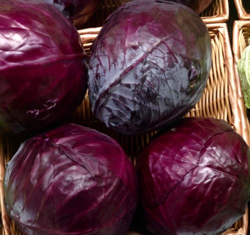 Red Cabbage myfavouritepastime.com