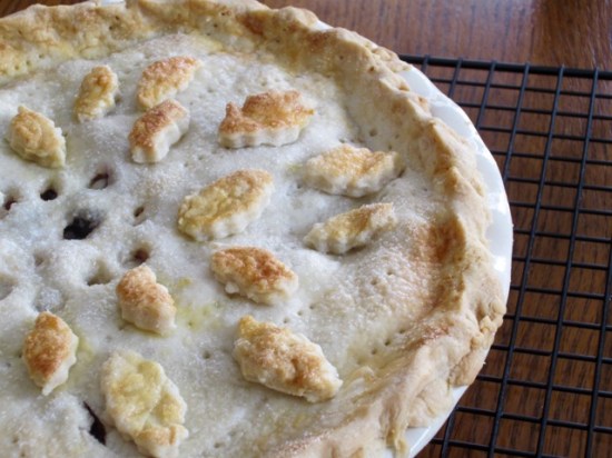 Apple Blueberry and Currant Pie myfavouritepastime.com