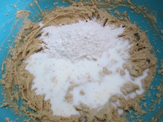 Moist Apple and Spice Cake myfavoutiepastime.com