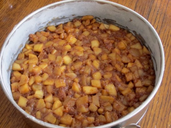 Moist Apple and Spice Cake myfavoutiepastime.com