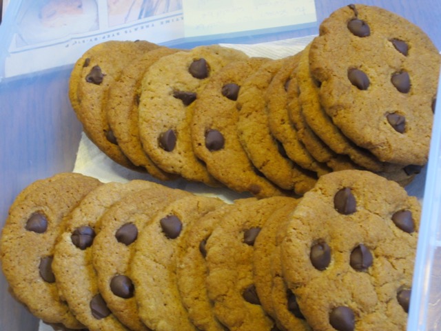 Chocolate Chip Gingernuts myfavouritepastime.com