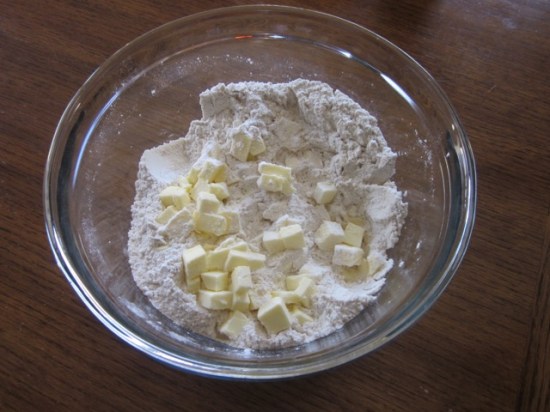 Chocolate Chip Gingernuts myfavouritepastime.com