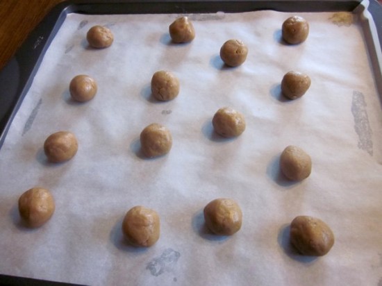 Chocolate Chip Gingernuts myfavouritepastime.com