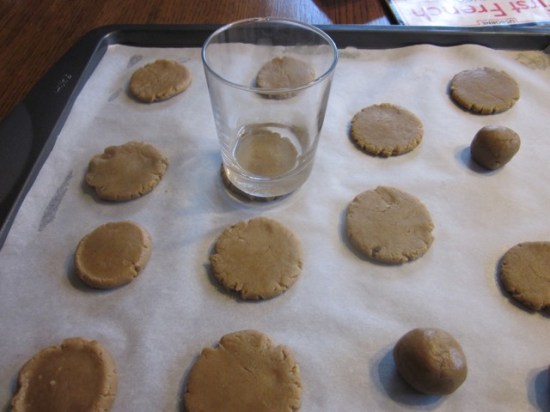 Chocolate Chip Gingernuts myfavouritepastime.com
