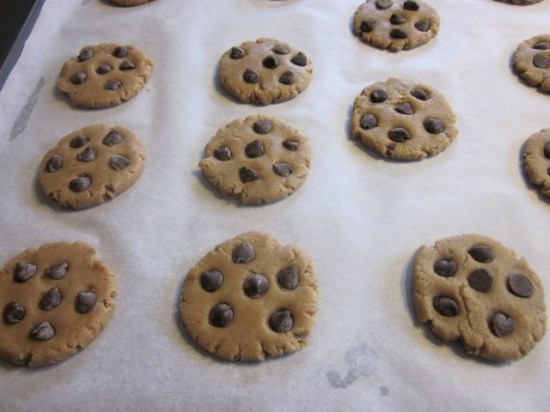 Chocolate Chip Gingernuts myfavouritepastime.com