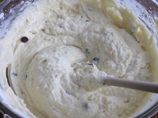 Chocolate Chip orange Cake myfavouritepastime.com