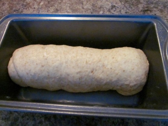 Honey Oatmeal and Walnut Bread myfavouritepastime.com