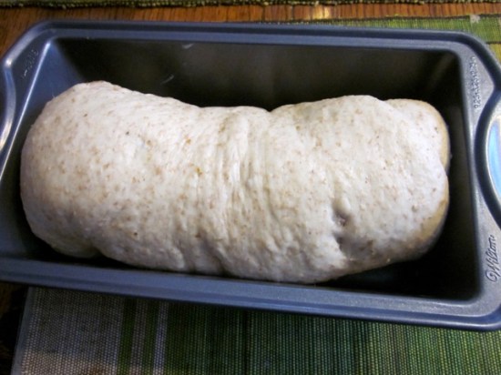 Honey Oatmeal and Walnut Bread myfavouritepastime.com_7987