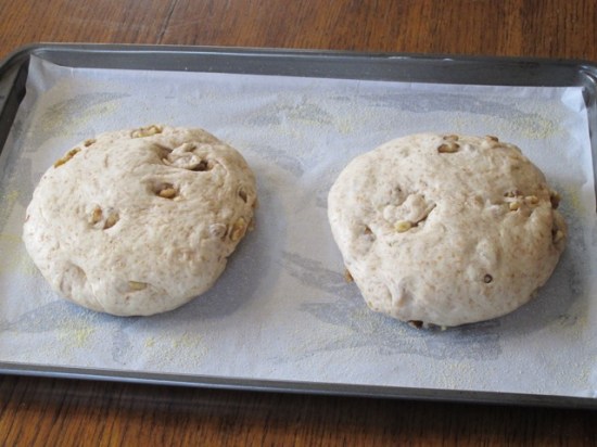 Pain au noix myfavouritepastime.com