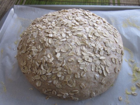 Sesame and Oatmeal myfavouritepastime.com