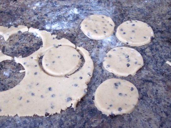 Spicy Currant and Lemon Cookies myfavouritepastime.com