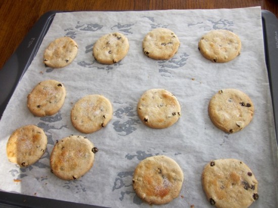 Spicy Currant and Lemon Cookies myfavouritepastime.com