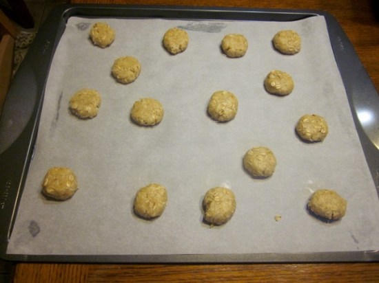 Anzac Biscuits myfavouritepastime.com