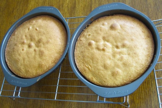 Apple Cake With Cream Filling myfavouritepastime.com Apple Cake With Cream Filling