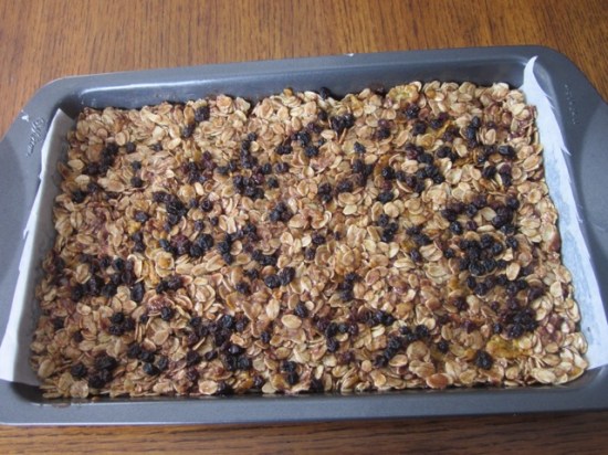Chocolate Honey Oat Bars myfavouritepastime.com